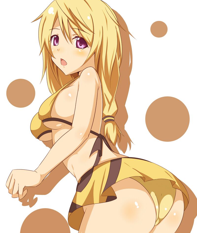 【 IS = Infinite Stratos &gt; 】 Charlotte Dunois Photo Gallery Wwww Part3 38