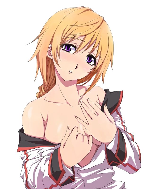 【 IS = Infinite Stratos &gt; 】 Charlotte Dunois Photo Gallery Wwww Part3 9