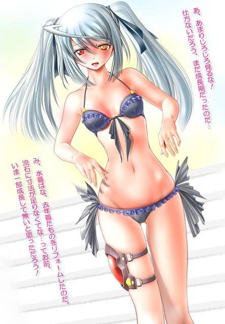[123 Photos] About the secondary erotic image of IS (infinite Stratos). 1 105