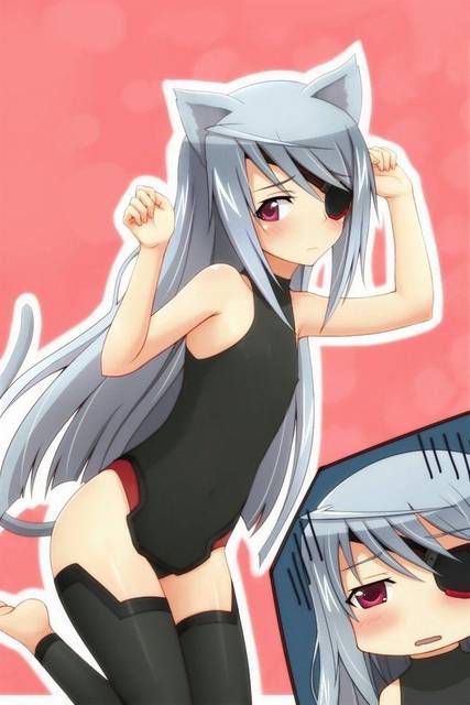 [123 Photos] About the secondary erotic image of IS (infinite Stratos). 1 109