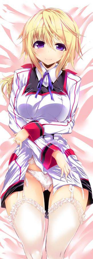 [123 Photos] About the secondary erotic image of IS (infinite Stratos). 1 114