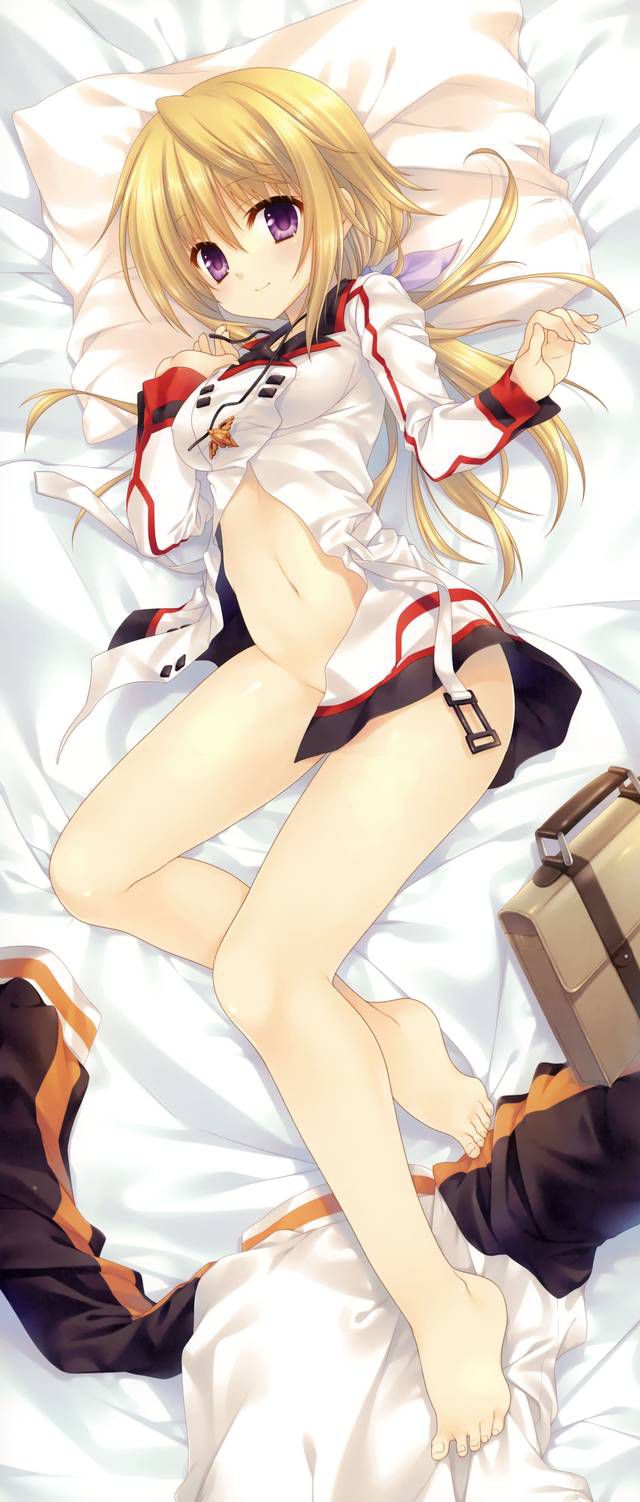 [123 Photos] About the secondary erotic image of IS (infinite Stratos). 1 115
