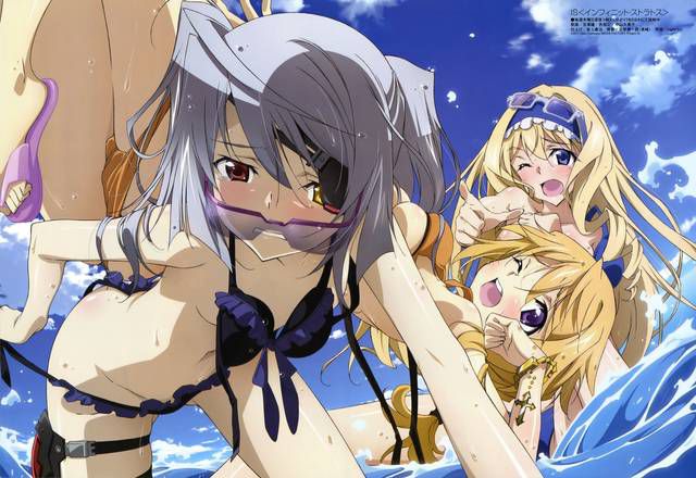 [123 Photos] About the secondary erotic image of IS (infinite Stratos). 1 118