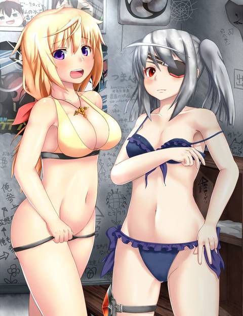 [123 Photos] About the secondary erotic image of IS (infinite Stratos). 1 122