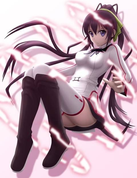 [123 Photos] About the secondary erotic image of IS (infinite Stratos). 1 15