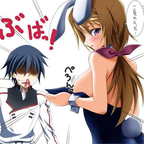 [123 Photos] About the secondary erotic image of IS (infinite Stratos). 1 18