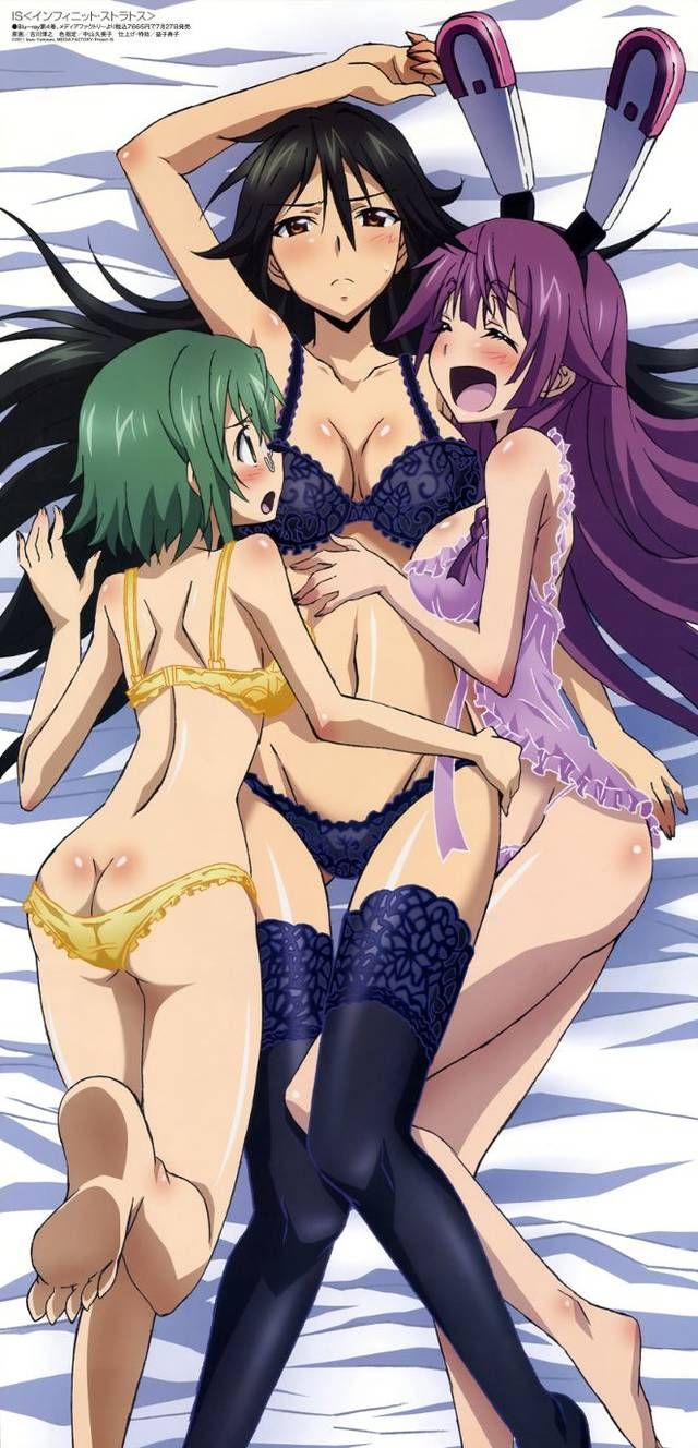 [123 Photos] About the secondary erotic image of IS (infinite Stratos). 1 19
