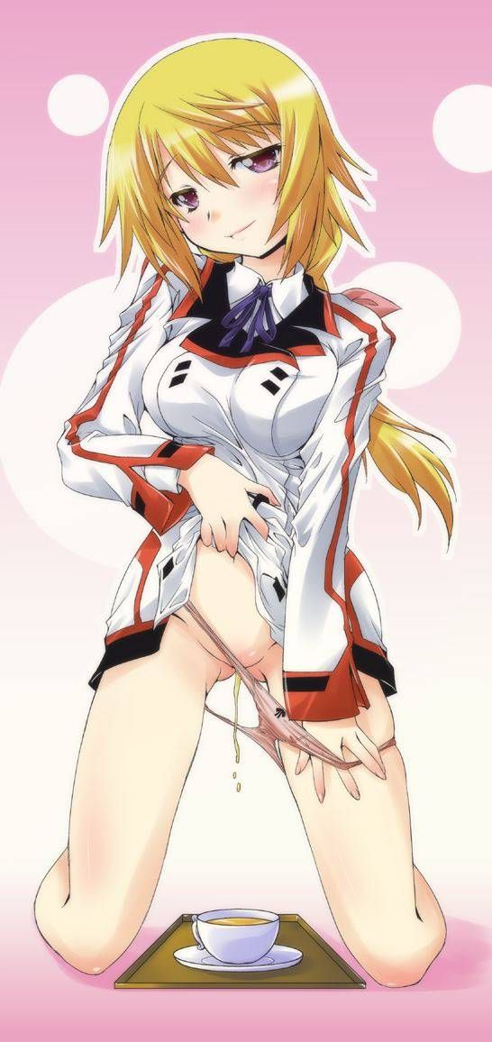 [123 Photos] About the secondary erotic image of IS (infinite Stratos). 1 2