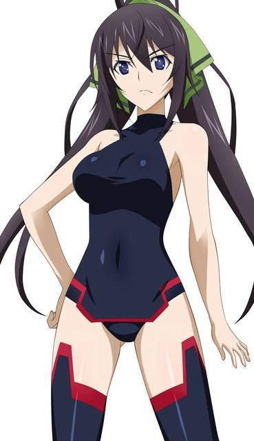 [123 Photos] About the secondary erotic image of IS (infinite Stratos). 1 21