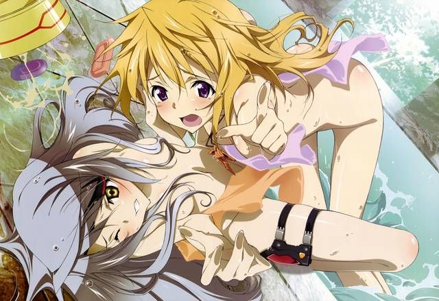 [123 Photos] About the secondary erotic image of IS (infinite Stratos). 1 22