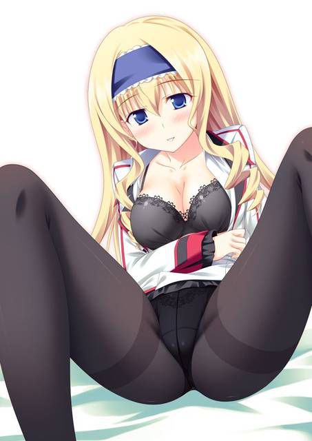 [123 Photos] About the secondary erotic image of IS (infinite Stratos). 1 25