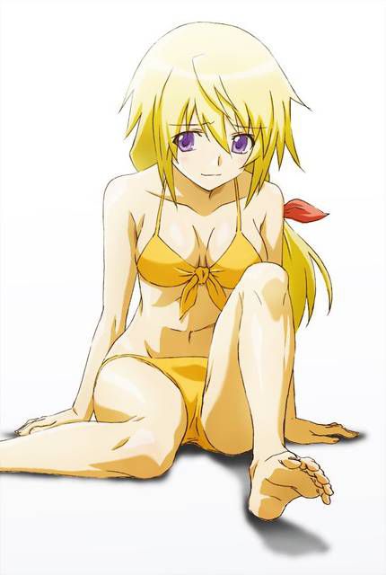 [123 Photos] About the secondary erotic image of IS (infinite Stratos). 1 27