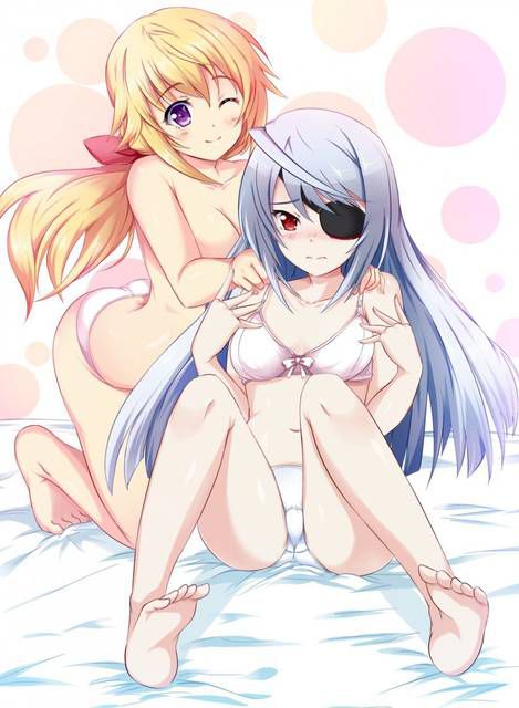 [123 Photos] About the secondary erotic image of IS (infinite Stratos). 1 28