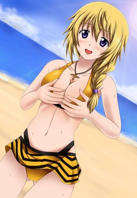 [123 Photos] About the secondary erotic image of IS (infinite Stratos). 1 4