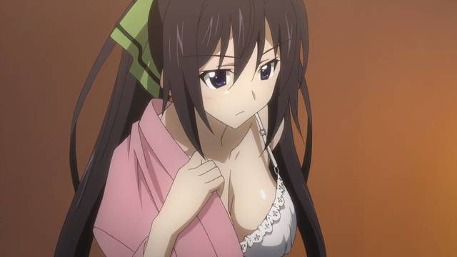 [123 Photos] About the secondary erotic image of IS (infinite Stratos). 1 46