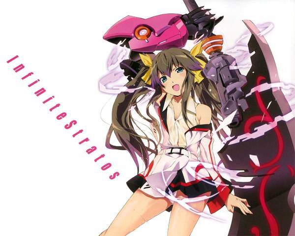 [123 Photos] About the secondary erotic image of IS (infinite Stratos). 1 47