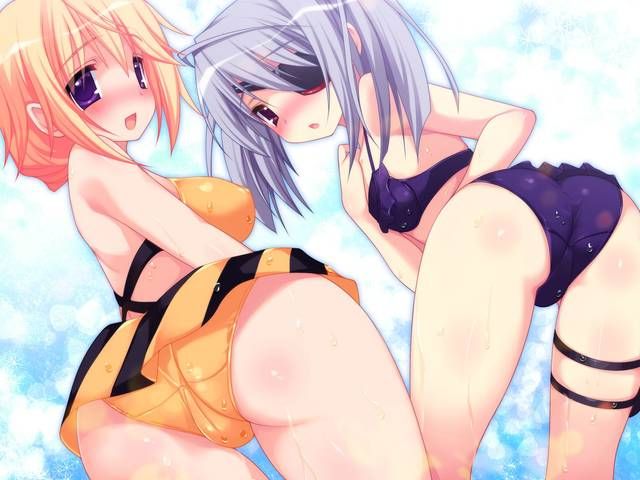 [123 Photos] About the secondary erotic image of IS (infinite Stratos). 1 5