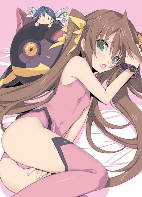 [123 Photos] About the secondary erotic image of IS (infinite Stratos). 1 51