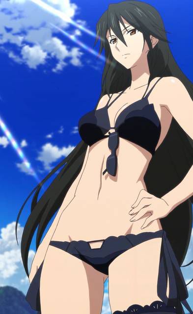 [123 Photos] About the secondary erotic image of IS (infinite Stratos). 1 53