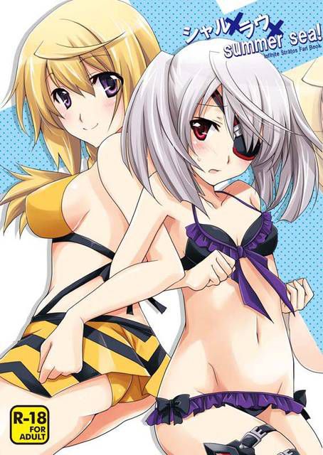 [123 Photos] About the secondary erotic image of IS (infinite Stratos). 1 54