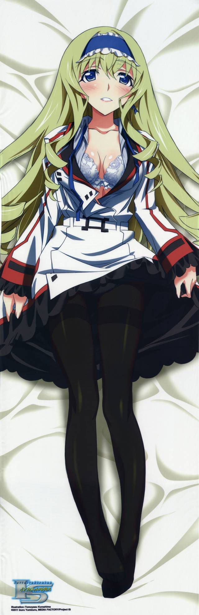 [123 Photos] About the secondary erotic image of IS (infinite Stratos). 1 56