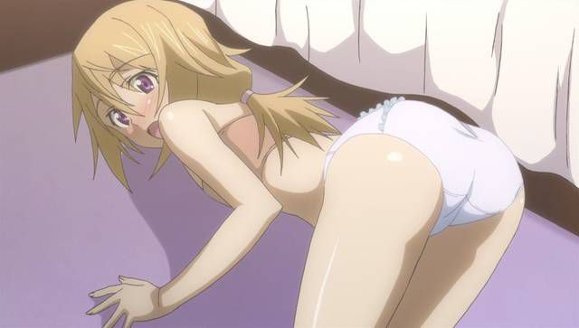 [123 Photos] About the secondary erotic image of IS (infinite Stratos). 1 71