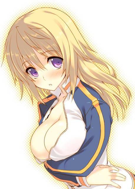 [123 Photos] About the secondary erotic image of IS (infinite Stratos). 1 73