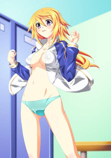 [123 Photos] About the secondary erotic image of IS (infinite Stratos). 1 74