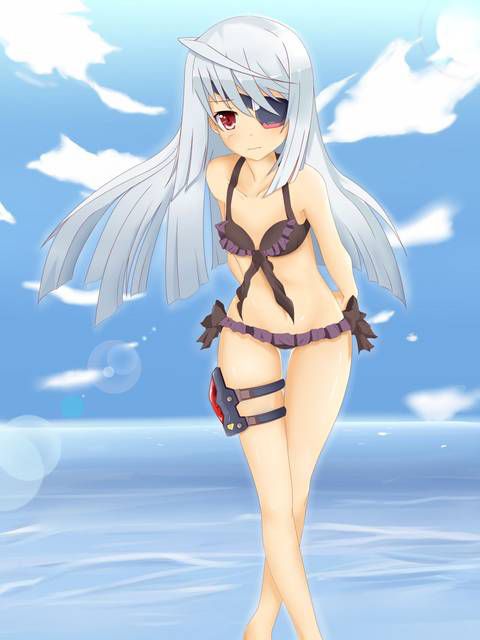 [123 Photos] About the secondary erotic image of IS (infinite Stratos). 1 77