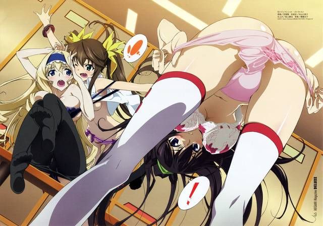 [123 Photos] About the secondary erotic image of IS (infinite Stratos). 1 8