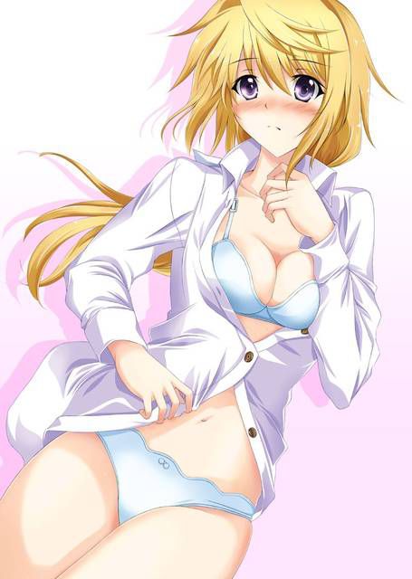 [123 Photos] About the secondary erotic image of IS (infinite Stratos). 1 82
