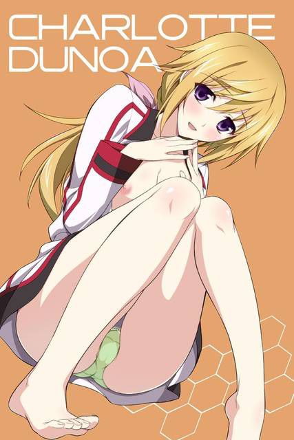 [123 Photos] About the secondary erotic image of IS (infinite Stratos). 1 86