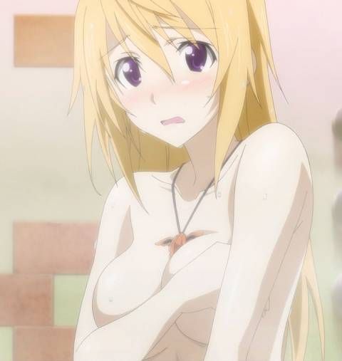 [123 Photos] About the secondary erotic image of IS (infinite Stratos). 1 9