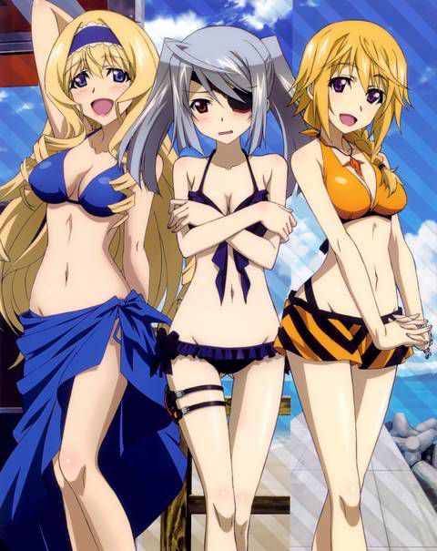 [123 Photos] About the secondary erotic image of IS (infinite Stratos). 1 92