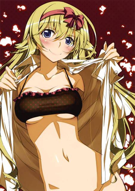 [123 Photos] About the secondary erotic image of IS (infinite Stratos). 1 95