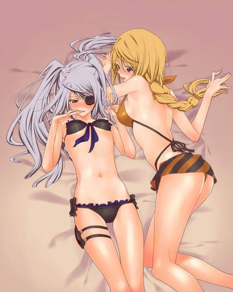 [123 Photos] About the secondary erotic image of IS (infinite Stratos). 1 96