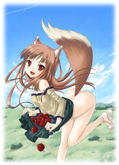 [Wolf and Spice (Wolf and refreshing ryou)] Holo photo Gallery wwww Part2 16
