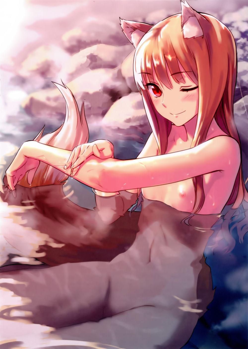 [Wolf and Spice (Wolf and refreshing ryou)] Holo photo Gallery wwww Part2 25