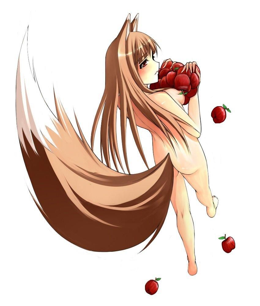 [Wolf and Spice (Wolf and refreshing ryou)] Holo photo Gallery wwww Part2 27