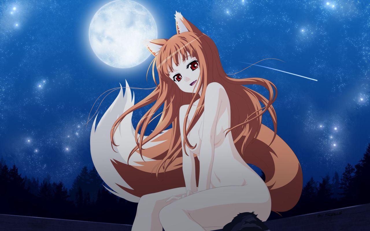 [Wolf and Spice (Wolf and refreshing ryou)] Holo photo Gallery wwww Part2 5