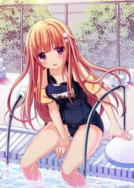 [57 pieces] Cute Erofeci image collection of two-dimensional, swimsuit girl. 35 29