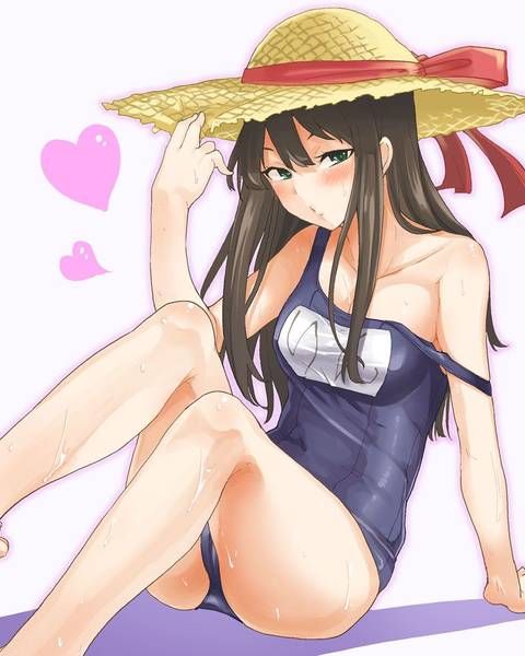 [57 pieces] Cute Erofeci image collection of two-dimensional, swimsuit girl. 35 33