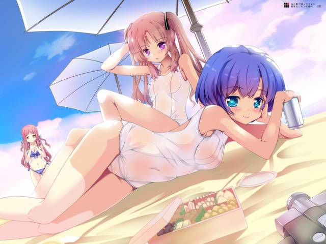 [57 pieces] Cute Erofeci image collection of two-dimensional, swimsuit girl. 35 42