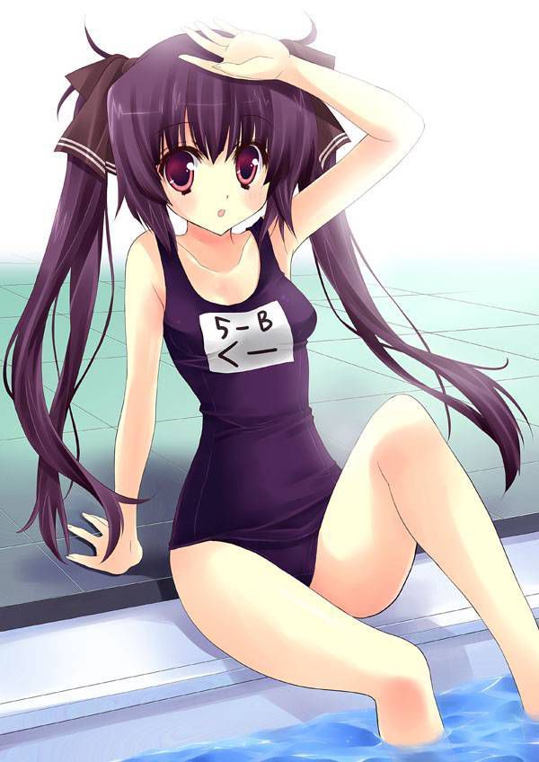 [Twin tails] tsuinte beautiful girl image part 17 [2-d] 22