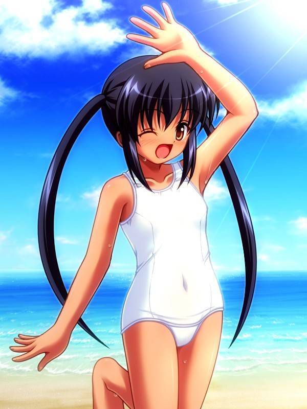 [Twin tails] tsuinte beautiful girl image part 17 [2-d] 24