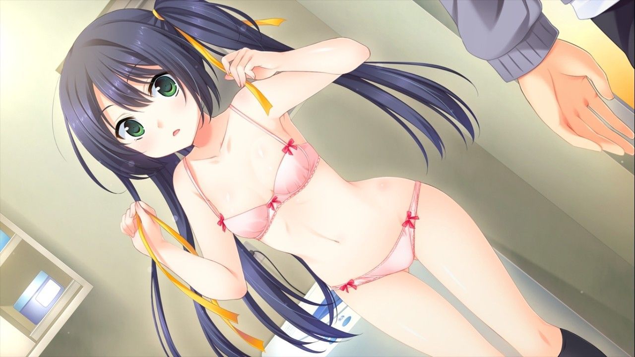 [Twin tails] tsuinte beautiful girl image part 17 [2-d] 33