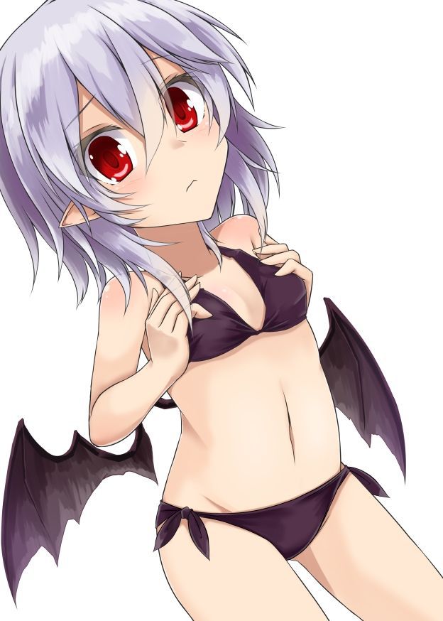 Touhou image various 272 50 pictures 7