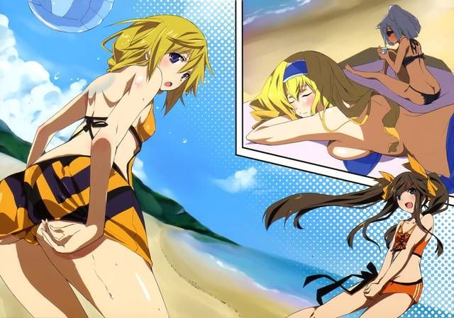 [131 Photos] About the secondary erotic image of IS (infinite Stratos). 5 10