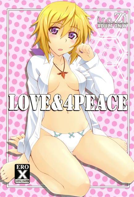 [131 Photos] About the secondary erotic image of IS (infinite Stratos). 5 100