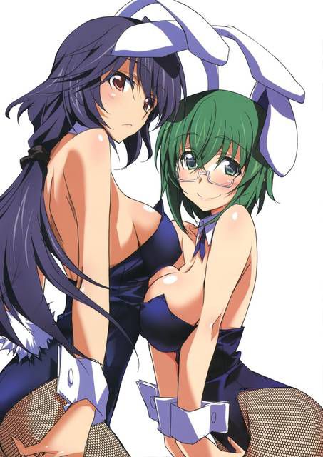 [131 Photos] About the secondary erotic image of IS (infinite Stratos). 5 108